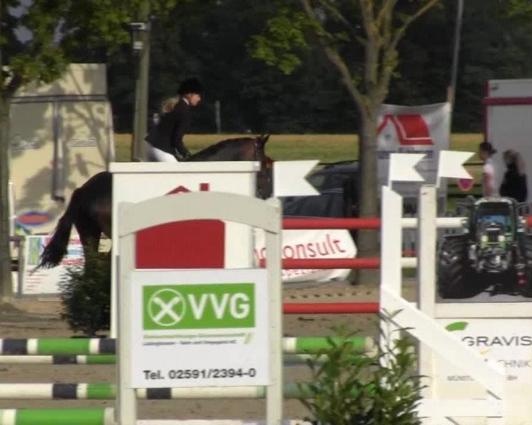 Reitturnier Senden 2014