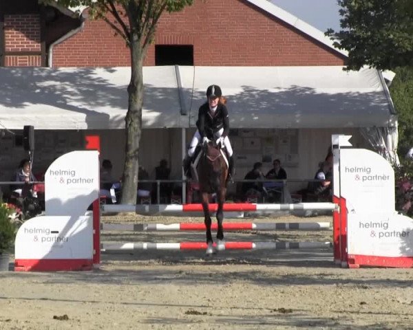 Reitturnier Senden 2014
