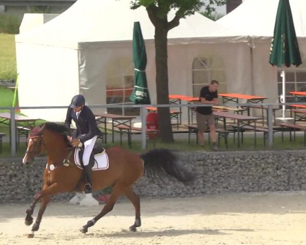 Reitertage Hagau 2014