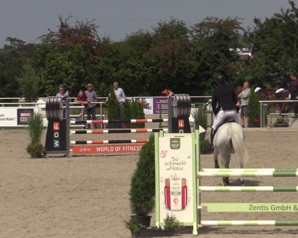 Reitturnier Stolberg-Büsbach 2025