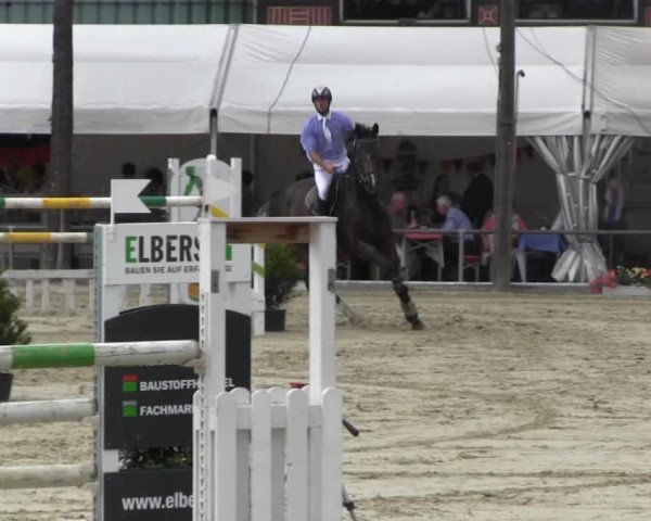 Reitturnier Senden 2014