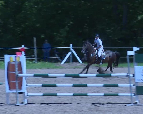 Reitturnier Demantsfürth/Mfr. 2025