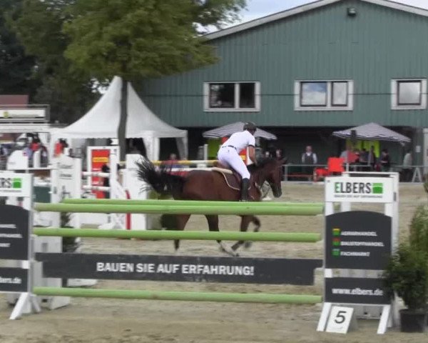Reitturnier Senden 2014