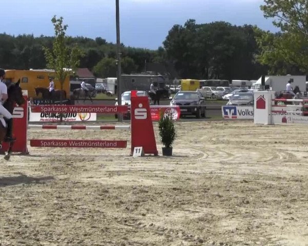 Reitturnier Senden 2014