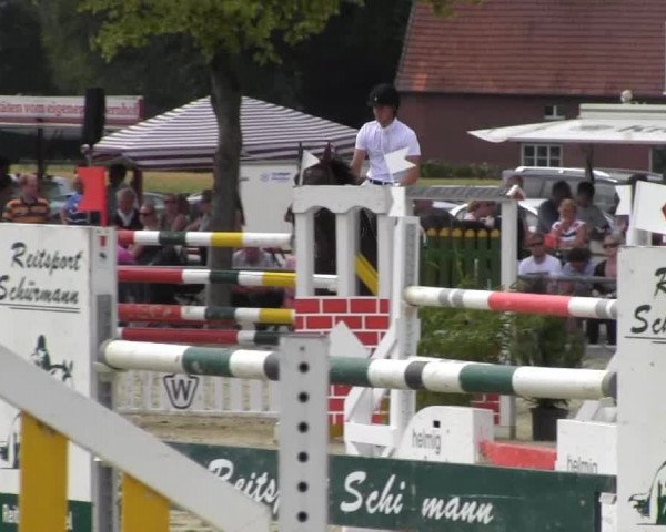 Reitturnier Senden 2014