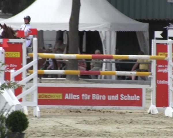 Reitturnier Senden 2014