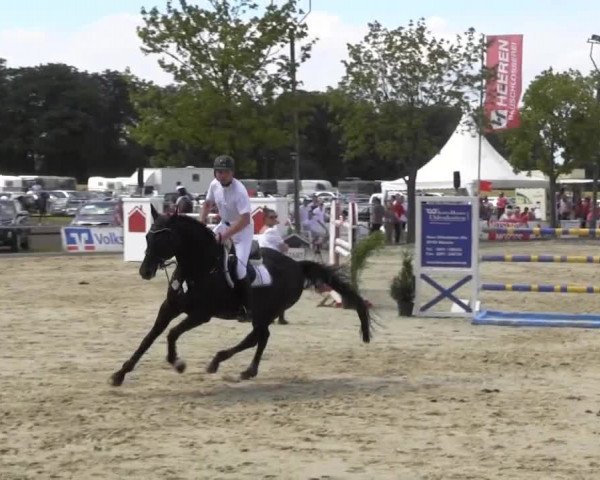 Reitturnier Senden 2014