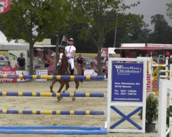 Reitturnier Senden 2014