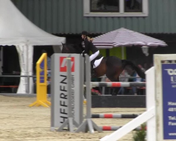 Reitturnier Senden 2014