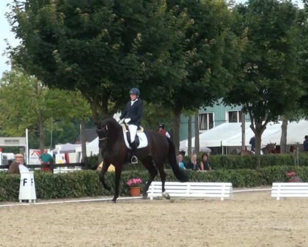 Reitturnier Senden 2014