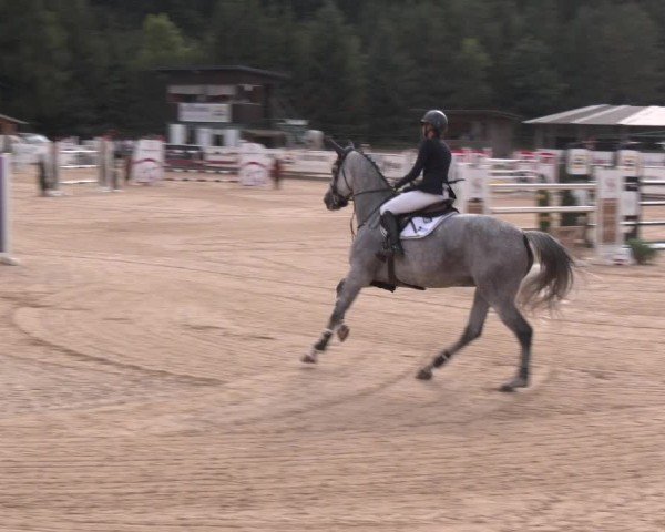 Reitturnier Ranshofen - Braunau am Inn 2025