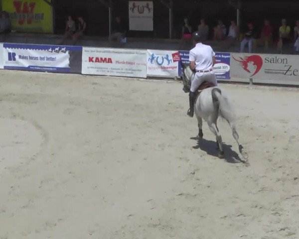 Reitertage Hagau 2014