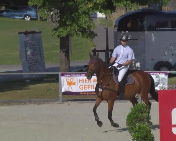 Reitertage Hagau 2014