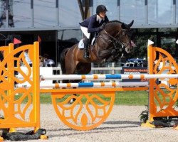 stallion Innovation (KWPN (Royal Dutch Sporthorse), 2013, from van Gogh)