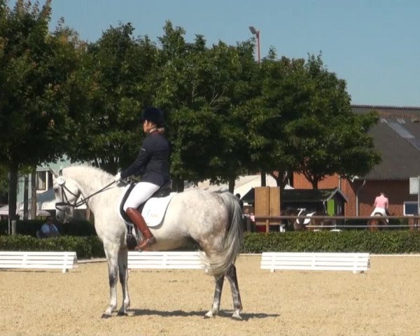 Reitturnier Senden 2014