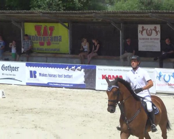Reitertage Hagau 2014
