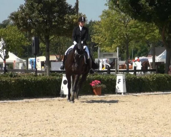Reitturnier Senden 2014