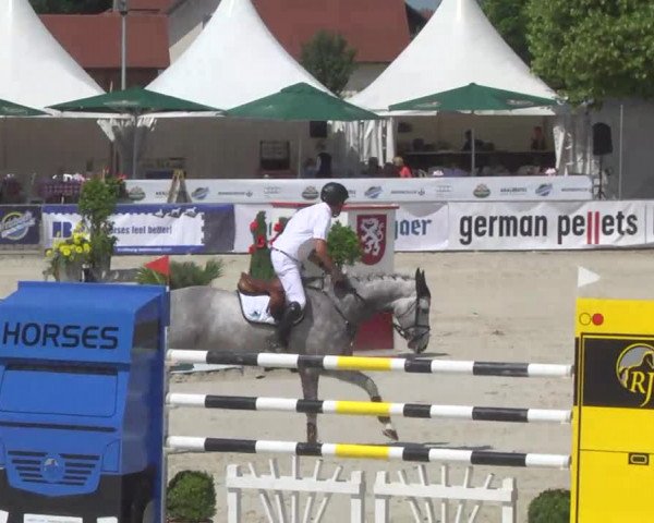 Reitertage Hagau 2014