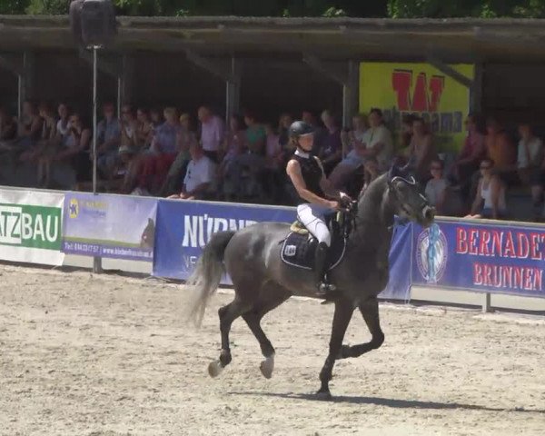 Reitertage Hagau 2014