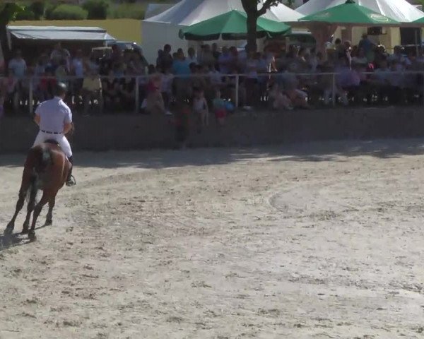 Reitertage Hagau 2014