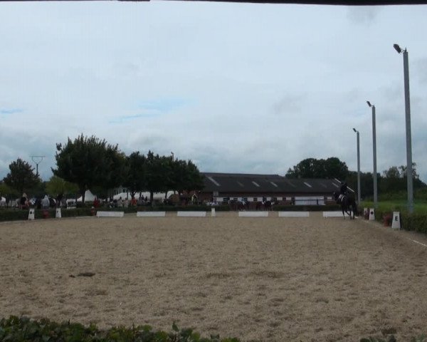 Reitturnier Senden 2014