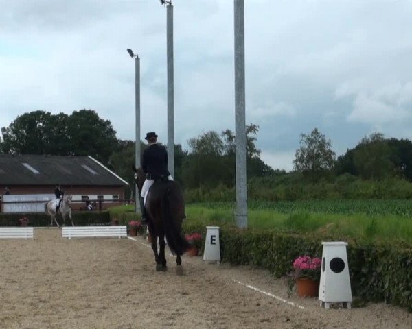 Reitturnier Senden 2014