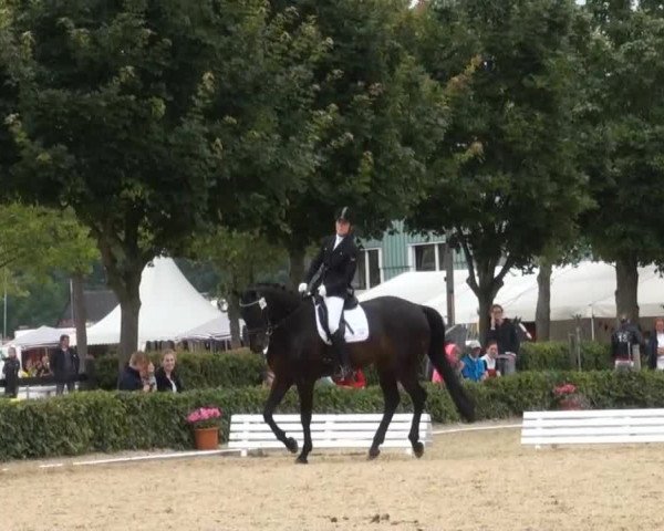 Reitturnier Senden 2014