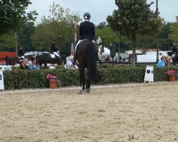 Reitturnier Senden 2014