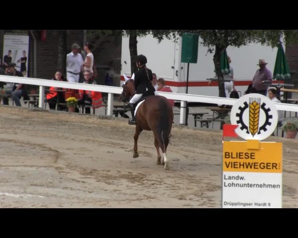 Reit- und Springturnier des RV Letmathe e.V. 2014