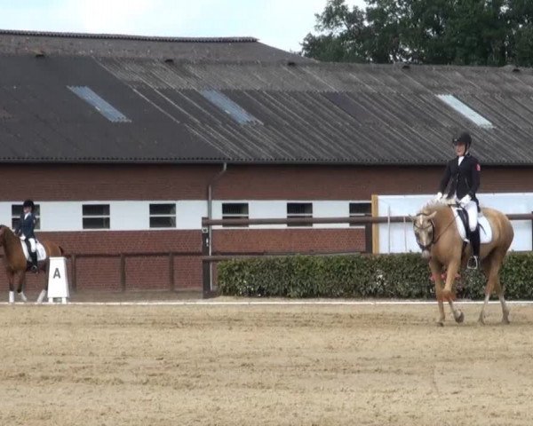 Reitturnier Senden 2014