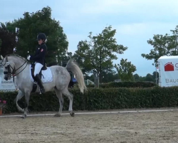 Reitturnier Senden 2014