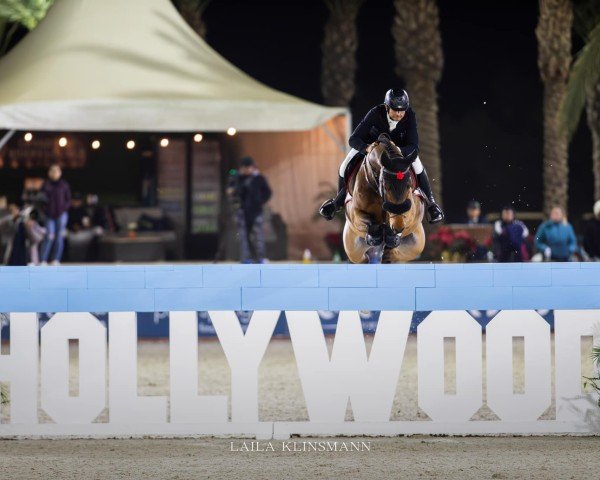 Springpferd Karius (KWPN (Niederländisches Warmblut), 2015, von Van Gogh)