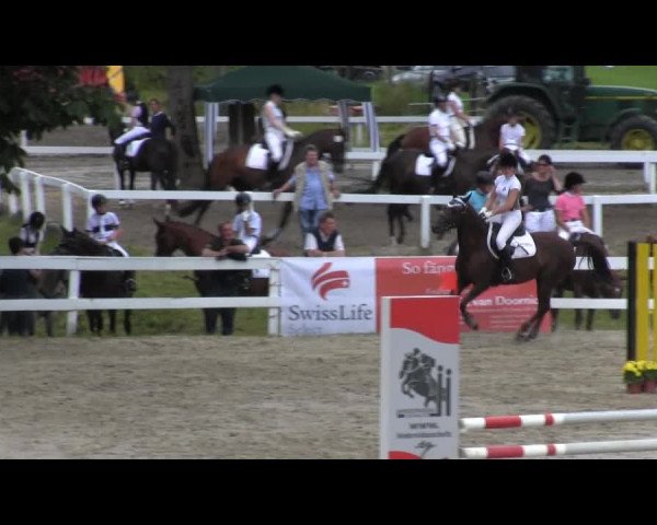 Reit- und Springturnier des RV Letmathe e.V. 2014