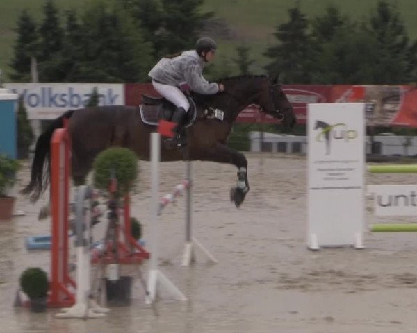 Sommerreitturnier der Süttenbacher RSG e.V. 2014