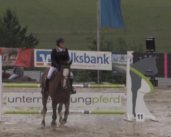 Sommerreitturnier der Süttenbacher RSG e.V. 2014
