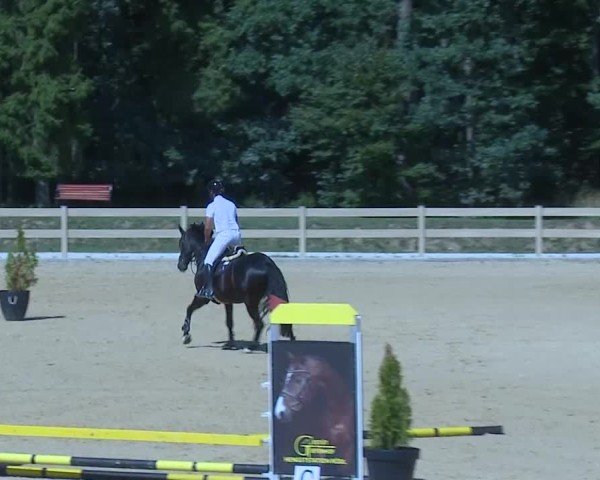 Reitturnier Tiefenhof/Opf. 2025