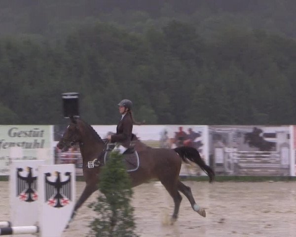 Sommerreitturnier der Süttenbacher RSG e.V. 2014
