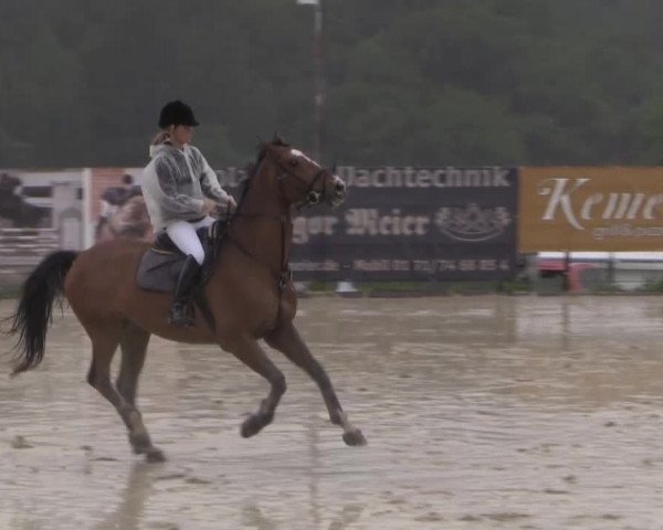 Sommerreitturnier der Süttenbacher RSG e.V. 2014