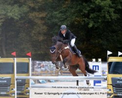 Springpferd Qualimero 4 (Oldenburger, 2012, von Quality 9)