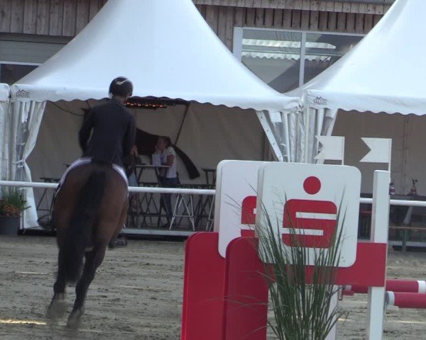 Reitturnier Werne 2025