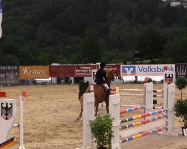 Sommerreitturnier der Süttenbacher RSG e.V. 2014