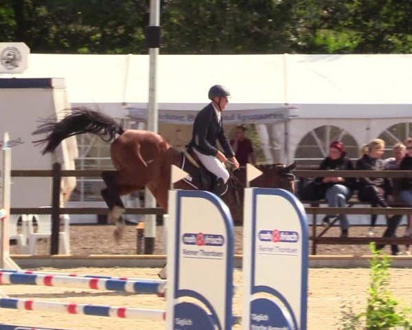 Reitturnier Löwenstedt 2025