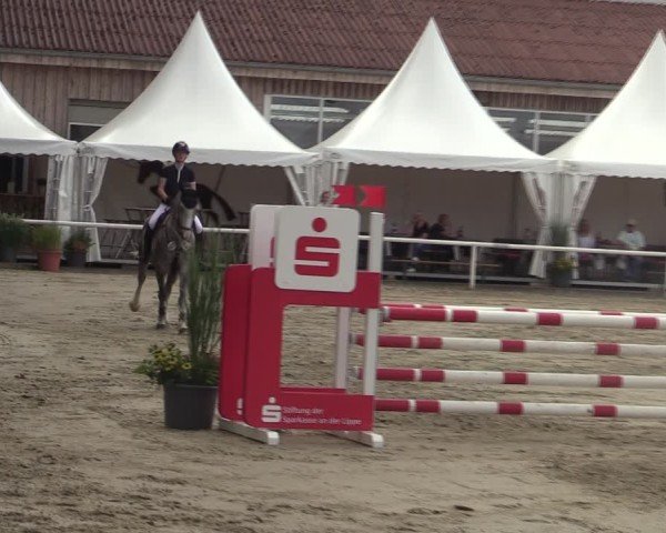 Reitturnier Werne 2025