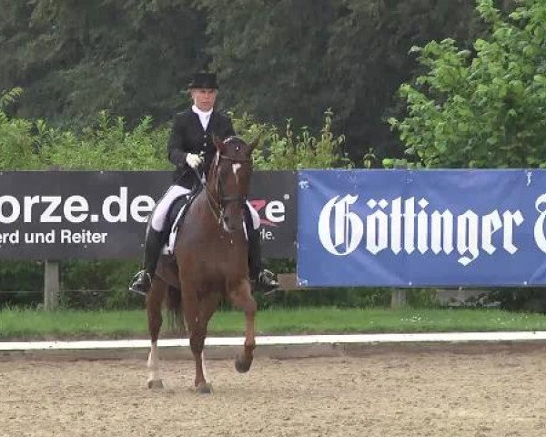 10. Bettenröder Dressurtage 2014