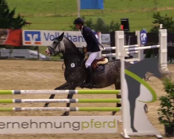 Sommerreitturnier der Süttenbacher RSG e.V. 2014