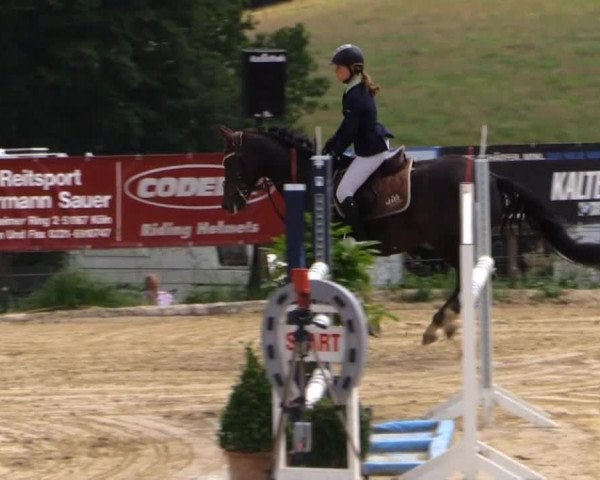 Sommerreitturnier der Süttenbacher RSG e.V. 2014