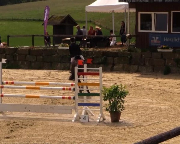 Sommerreitturnier der Süttenbacher RSG e.V. 2014