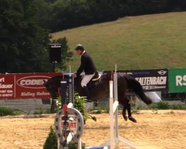 Sommerreitturnier der Süttenbacher RSG e.V. 2014