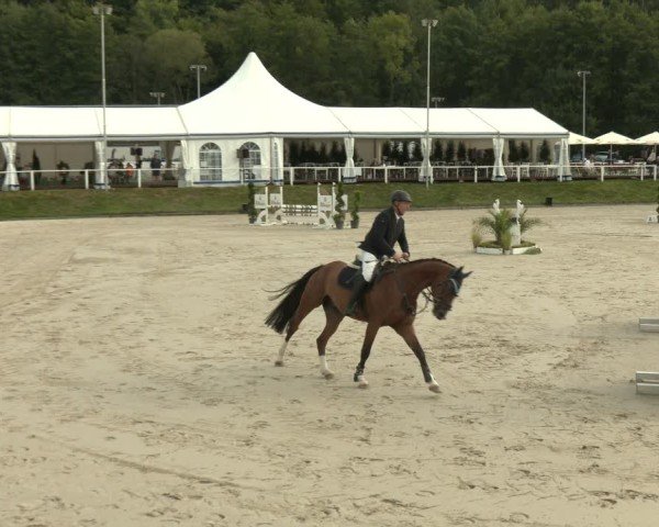 Reitturnier Bergisch Gladbach - Hebborner Hof 2025