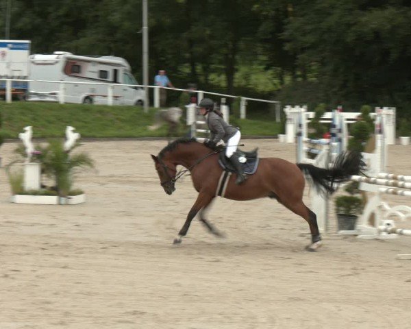 Jezdecký turnaj Bergisch Gladbach - Hebborner Hof 2025